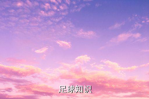  足球知識