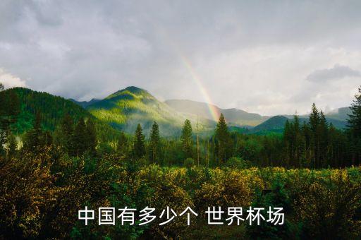 世界杯足球體育場,足球世界杯游戲