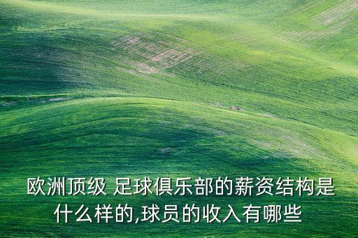  歐洲頂級(jí) 足球俱樂部的薪資結(jié)構(gòu)是什么樣的,球員的收入有哪些