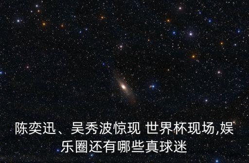 陳奕迅、吳秀波驚現(xiàn) 世界杯現(xiàn)場,娛樂圈還有哪些真球迷