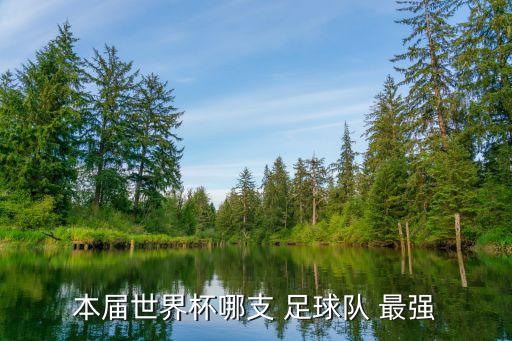 本屆世界杯哪支 足球隊(duì) 最強(qiáng)