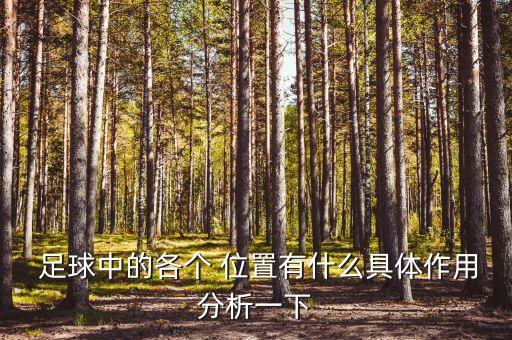  足球中的各個(gè) 位置有什么具體作用分析一下