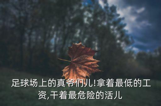 足球裁判成為高危,怎么成為一名足球裁判