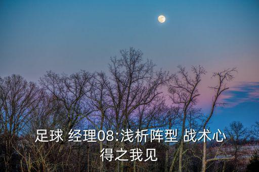  足球 經(jīng)理08:淺析陣型 戰(zhàn)術心得之我見