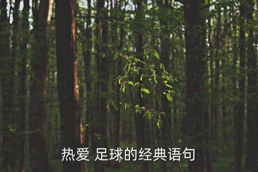 熱愛 足球的經(jīng)典語句