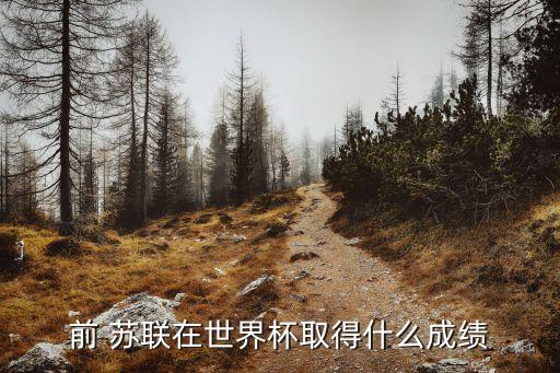 前 蘇聯(lián)在世界杯取得什么成績(jī)