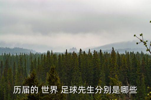 歷屆的 世界 足球先生分別是哪些
