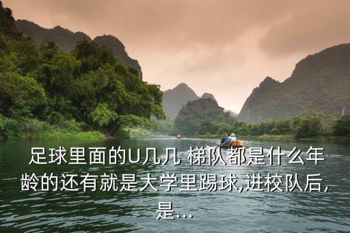  足球里面的U幾幾 梯隊(duì)都是什么年齡的還有就是大學(xué)里踢球,進(jìn)校隊(duì)后,是...