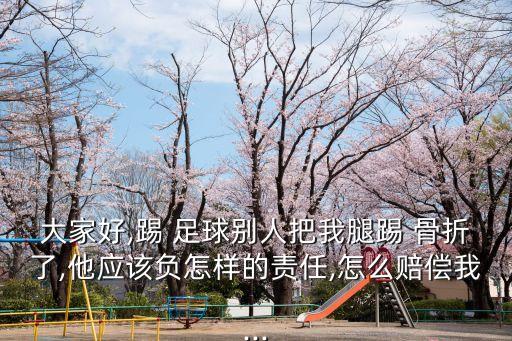 大家好,踢 足球別人把我腿踢 骨折了,他應(yīng)該負(fù)怎樣的責(zé)任,怎么賠償我...