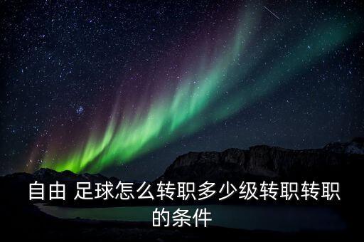 自由 足球怎么轉(zhuǎn)職多少級轉(zhuǎn)職轉(zhuǎn)職的條件