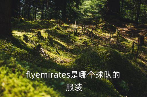 flyemirates是哪個(gè)球隊(duì)的 服裝