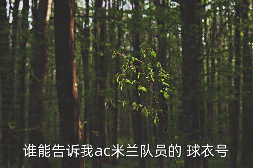 誰能告訴我ac米蘭隊員的 球衣號