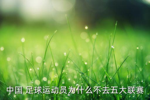 中國 足球運(yùn)動(dòng)員為什么不去五大聯(lián)賽