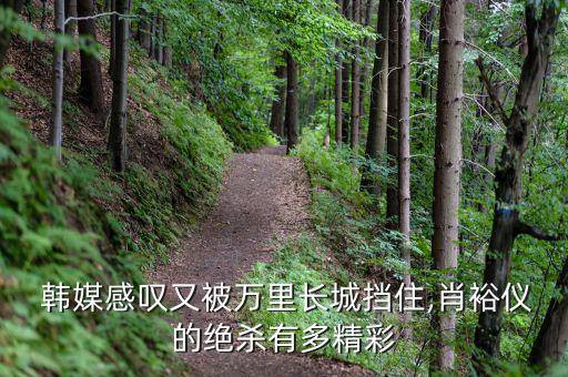 韓媒警告中國(guó)足球,中國(guó)足球被國(guó)際權(quán)威組織警告