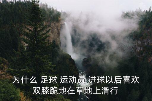 為什么 足球 運(yùn)動(dòng)員 進(jìn)球以后喜歡雙膝跪地在草地上滑行
