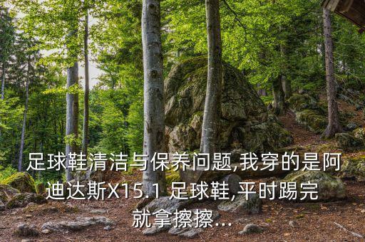 袋鼠皮足球鞋內(nèi)襯 怎么清洗