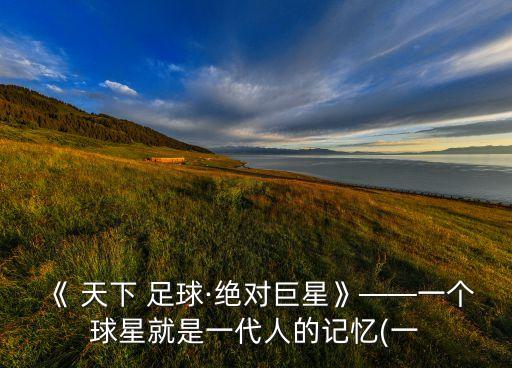 天下足球球迷混入球場,足球球迷沖進球場怎么處理