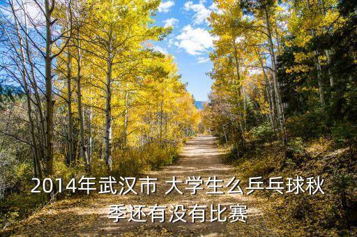 2014年武漢市 大學(xué)生么乒乓球秋季還有沒有比賽