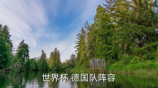 世界杯 德國隊陣容