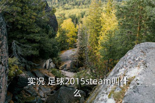  實(shí)況 足球2015steam叫什么