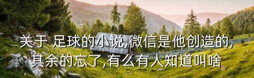 關(guān)于 足球的小說,微信是他創(chuàng)造的,其余的忘了,有么有人知道叫啥
