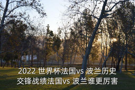 波蘭足球進(jìn)入世界杯