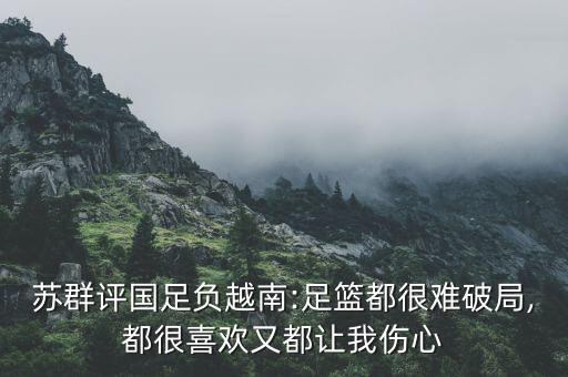 蘇群評(píng)國(guó)足負(fù)越南:足籃都很難破局,都很喜歡又都讓我傷心