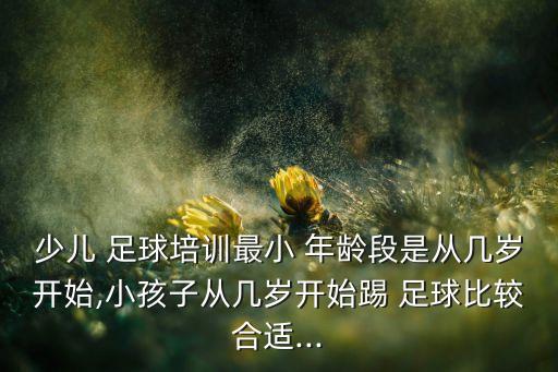 北京青少年足球2006年齡段,青少年足球年齡段劃分標準表