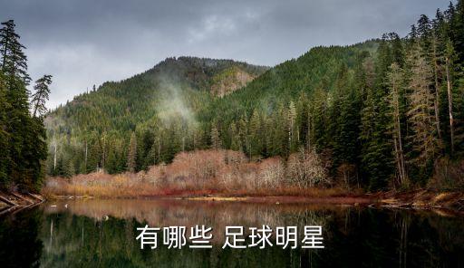 有哪些 足球明星