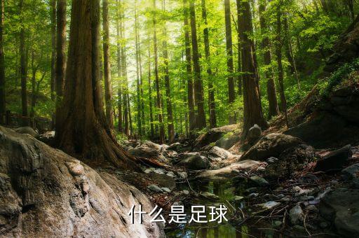 英國足球隊熱身賽,英國有幾個足球隊參加世界杯