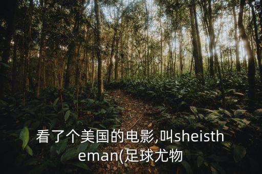 看了個(gè)美國(guó)的電影,叫sheistheman(足球尤物