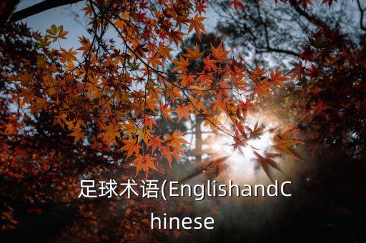 足球比賽中的換人 怎么用英語說
