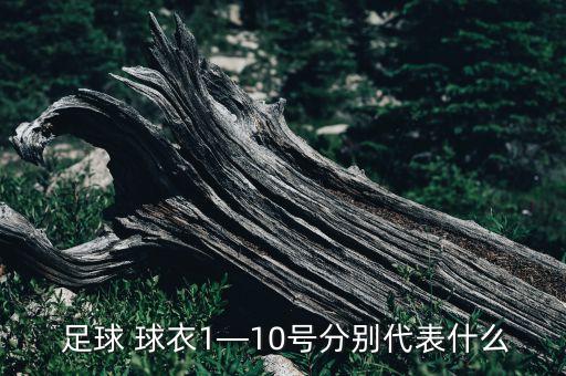  足球 球衣1—10號分別代表什么