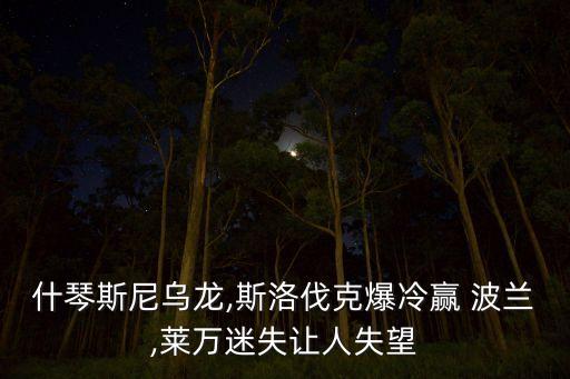 什琴斯尼烏龍,斯洛伐克爆冷贏 波蘭,萊萬迷失讓人失望