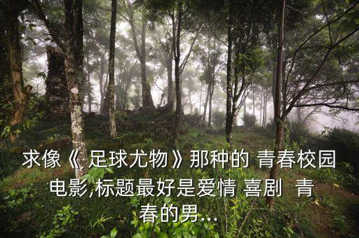 求像《 足球尤物》那種的 青春校園 電影,標題最好是愛情 喜劇  青春的男...