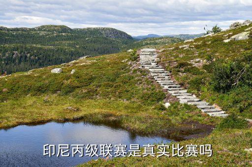  印尼丙級(jí)聯(lián)賽是真實(shí)比賽嗎