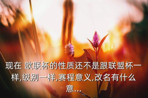 現(xiàn)在 歐聯(lián)杯的性質(zhì)還不是跟聯(lián)盟杯一樣,級別一樣,賽程意義,改名有什么意...