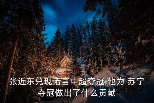張近東兌現(xiàn)諾言中超奪冠,他為 蘇寧奪冠做出了什么貢獻