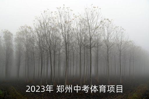 2023年 鄭州中考體育項(xiàng)目