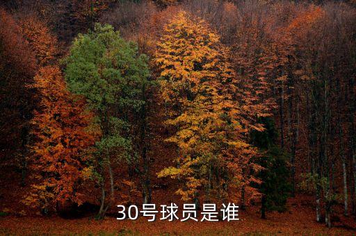 30號(hào)球員是誰(shuí)