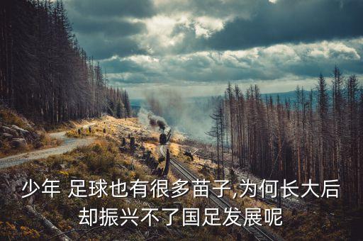 足球成長(zhǎng)運(yùn)動(dòng),我與足球共成長(zhǎng)征文