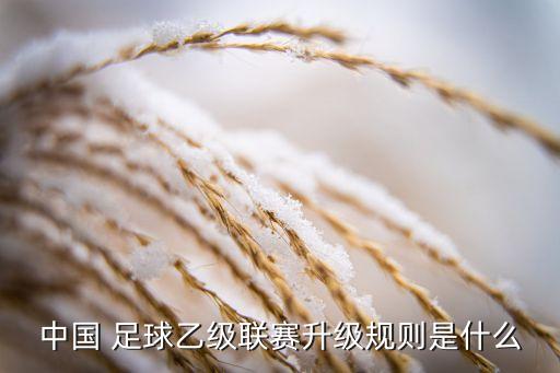 中國 足球乙級聯(lián)賽升級規(guī)則是什么