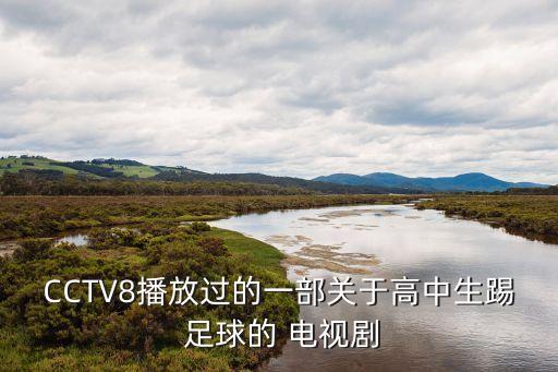 陸毅主演的電視劇足球,陸毅林心如主演的電視劇