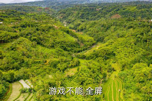 游戲不能 全屏