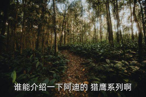 足球獵鷹隊(duì)比賽,足球一隊(duì)少于幾人,不進(jìn)行比賽