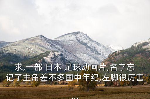 求,一部 日本 足球動畫片,名字忘記了主角差不多國中年紀,左腳很厲害...