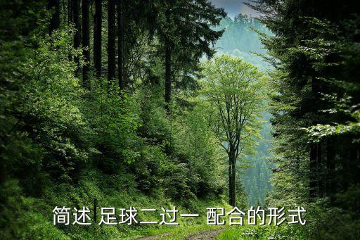 簡述 足球二過一 配合的形式