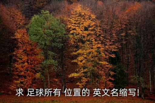 足球運(yùn)動(dòng)員位置英文簡(jiǎn)稱(chēng),你最喜歡的足球運(yùn)動(dòng)員是誰(shuí)英文