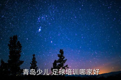 青島有幾個足球俱樂部,青島黃海足球俱樂部最新消息