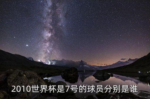 2010世界杯是7號的球員分別是誰